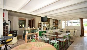 15.Tenuta Ornella.JPG